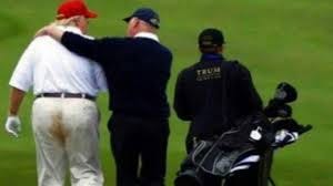 Sigalla Wills - Did Donald Trump poop ...