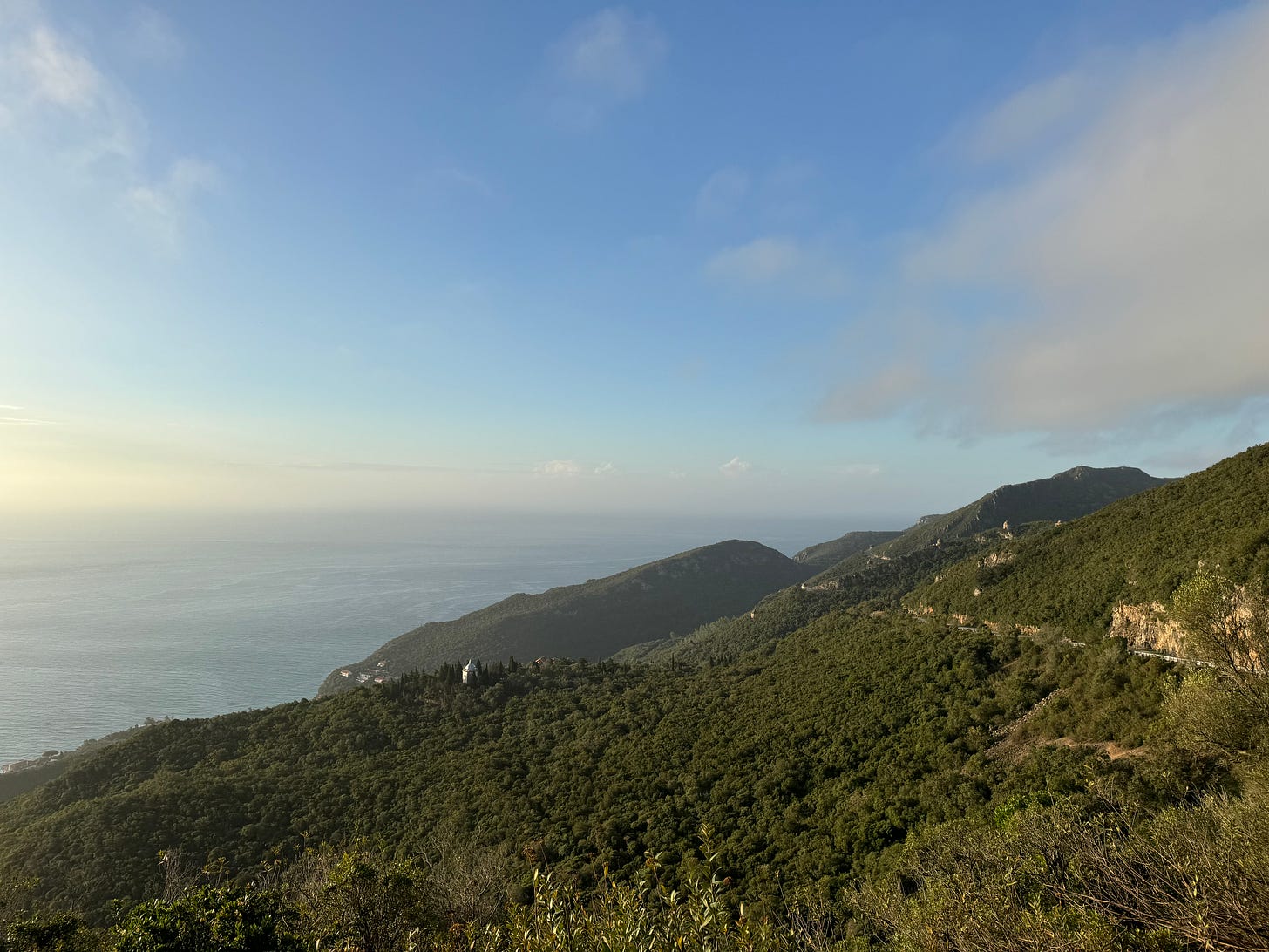 IMG_6082.jpeg