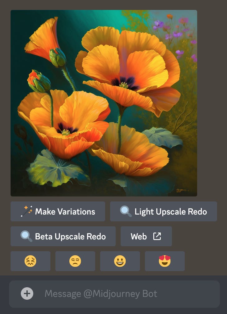 midjourney option
