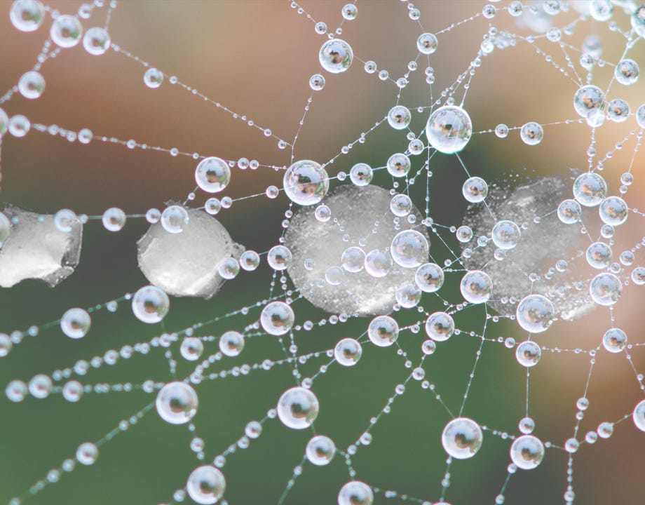 9 Bioinspired Medical Technologies - ASME