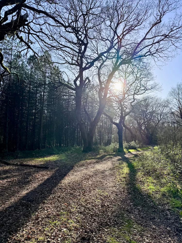 Photo by Jules Smith