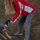 Getting my head around cooperative and competitive dog play