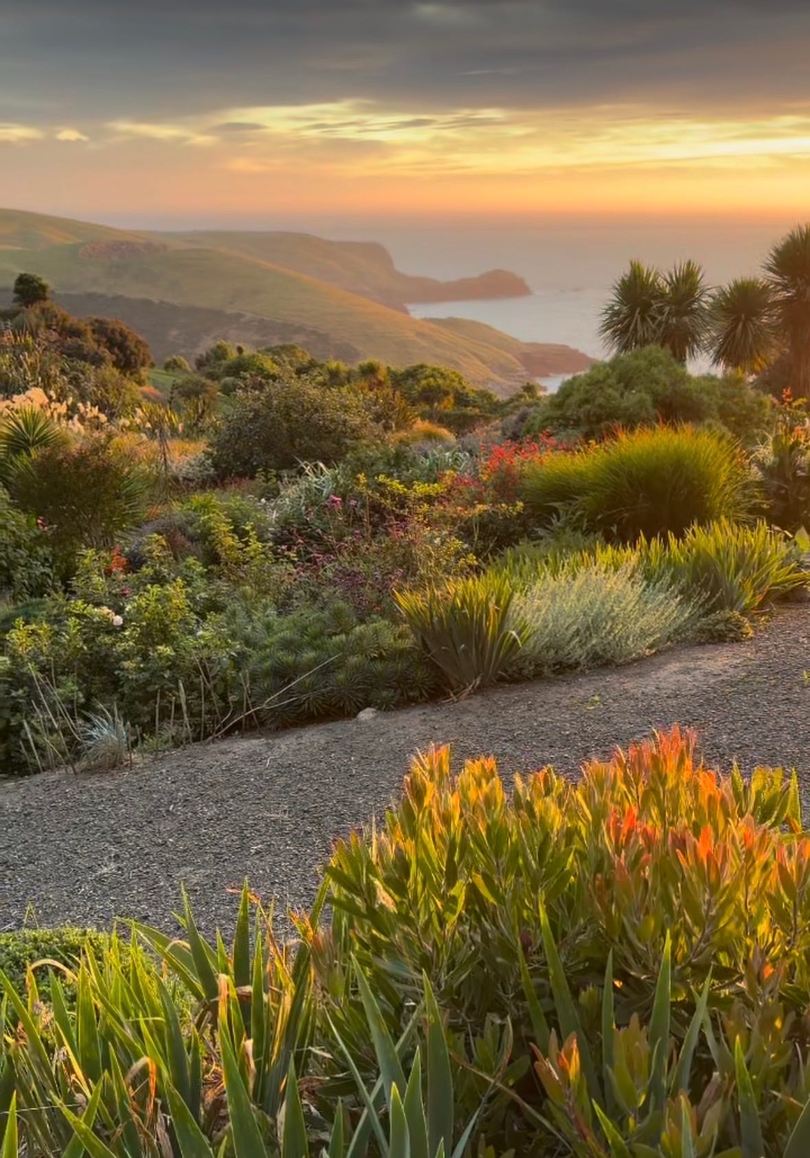 qotd, rumi, sahil bloom, jay shetty, on purpose, feel better, inspirational quotes, book recs, best books, goodreads, humor, iamthirtyaf, illustrations, mental wellness, power of positive thinking, universe, gratitude, friends, positivity, confidence, nice news, art, line drawings, linear theory, inspirational quotes, new yorker, poetry, universe, life advice, career, success, positive news, c magazine, ad magazine  Nature, wildlife photography, c magazine, California, flaunt magazine, fishermans bay garden, new zealand