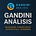 Avatar de Gandini Análisis