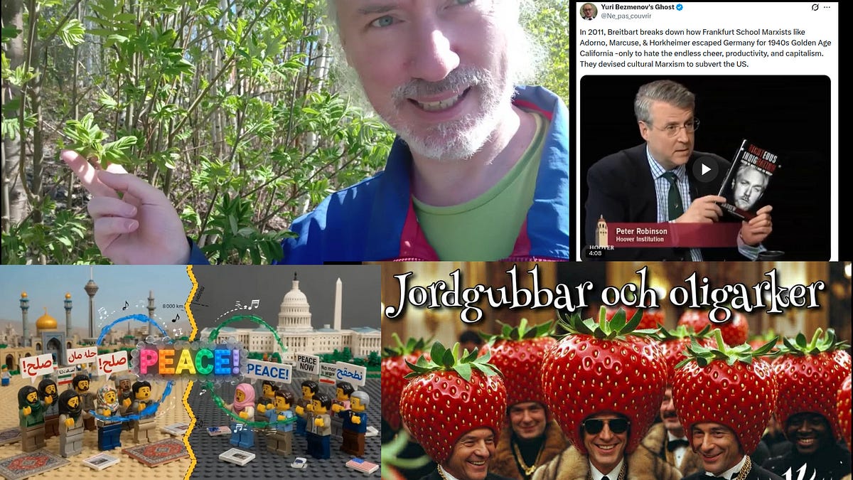 Grok about censorship. Holocaust religion. Moral clarity stories. Use Alinsky vs The Epstein Class