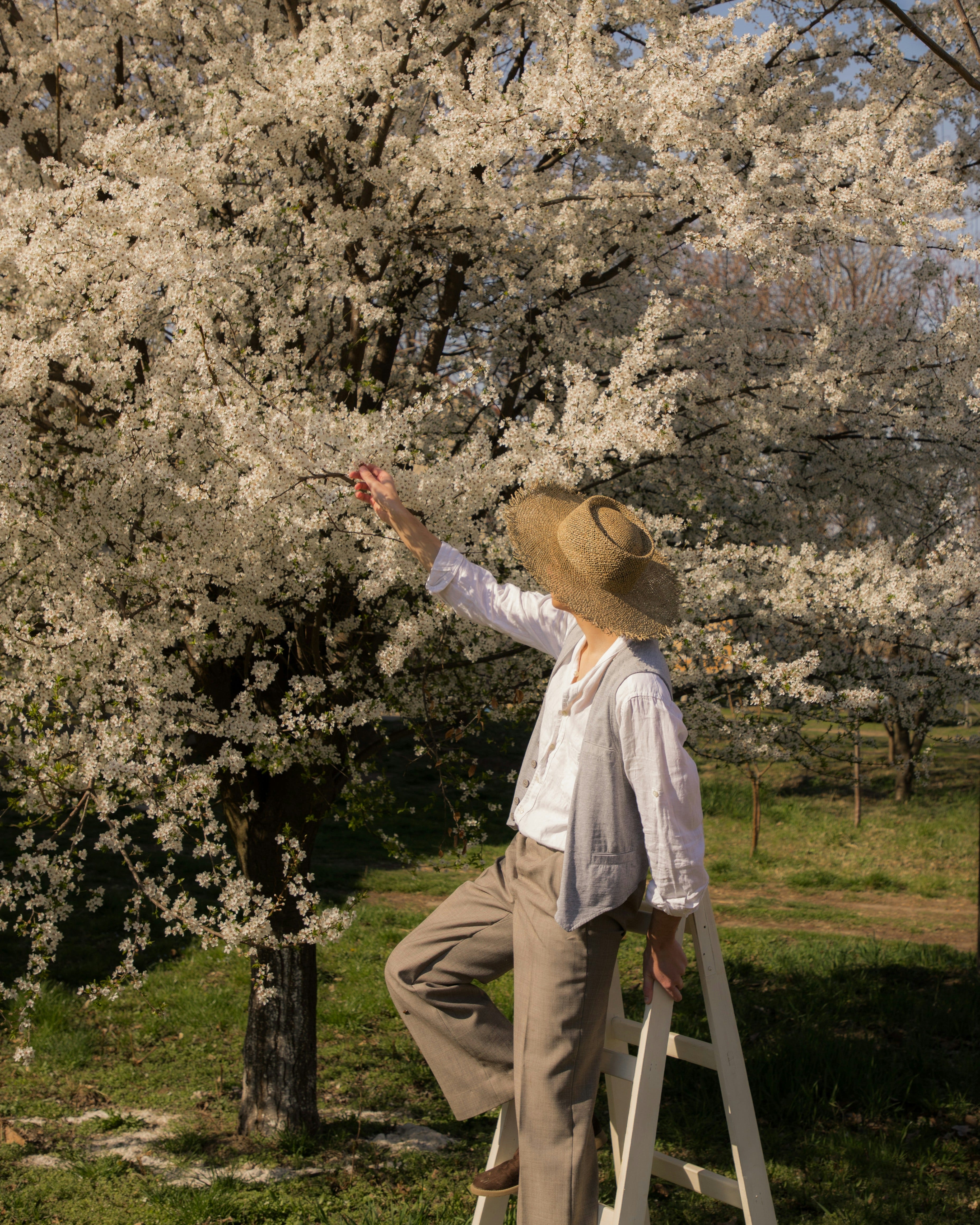 10 Cottagecore Habits to Weave Into Your Spring Days