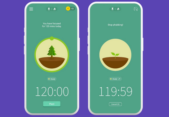forest main interface forest main interface