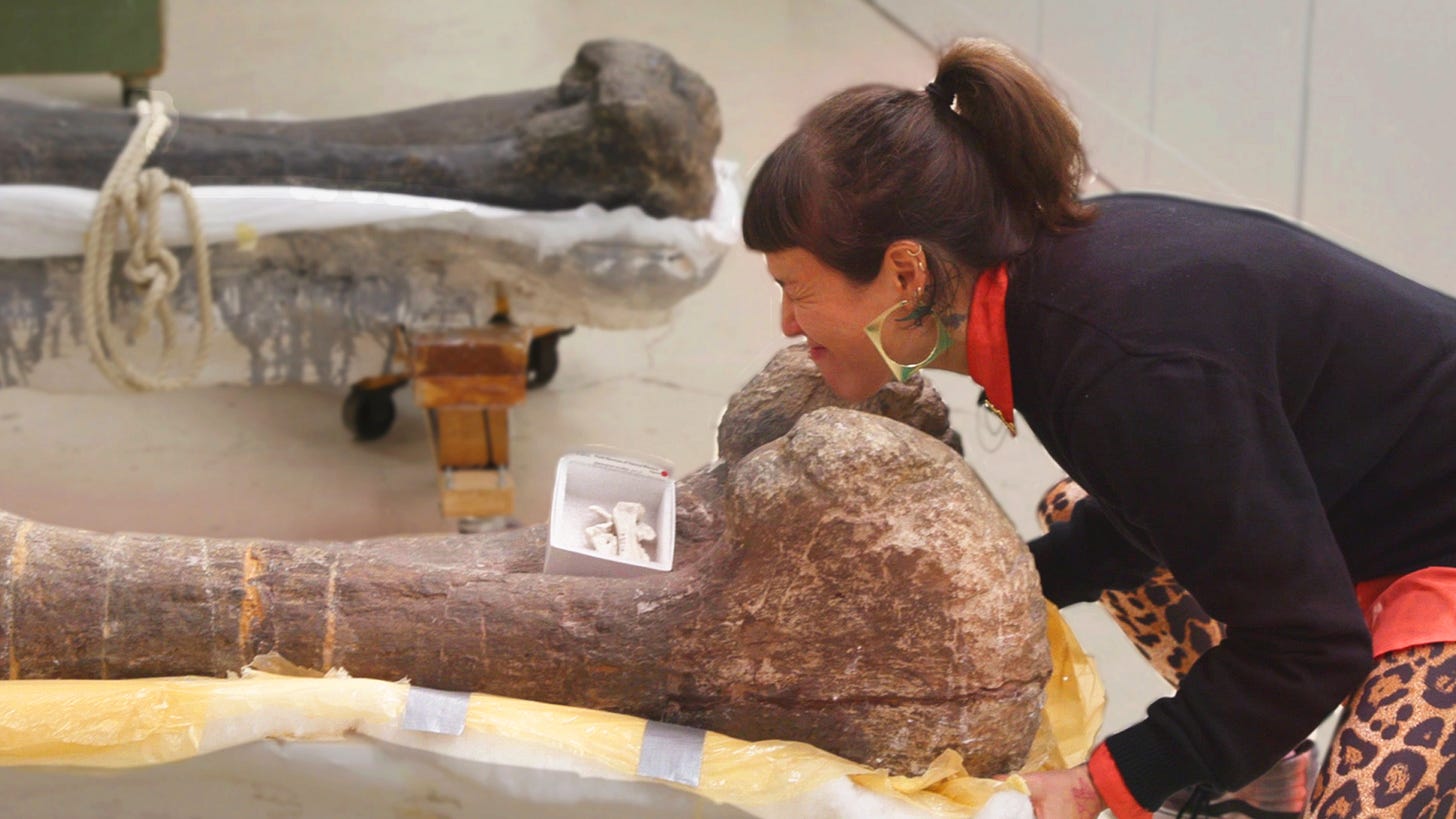 Were Dinosaurs Warm-Blooded? Soft Tissues Have the Answer Were Dinosaurs Warm-Blooded? Soft Tissues Have the Answer