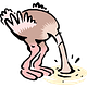 Ostrich Weekly