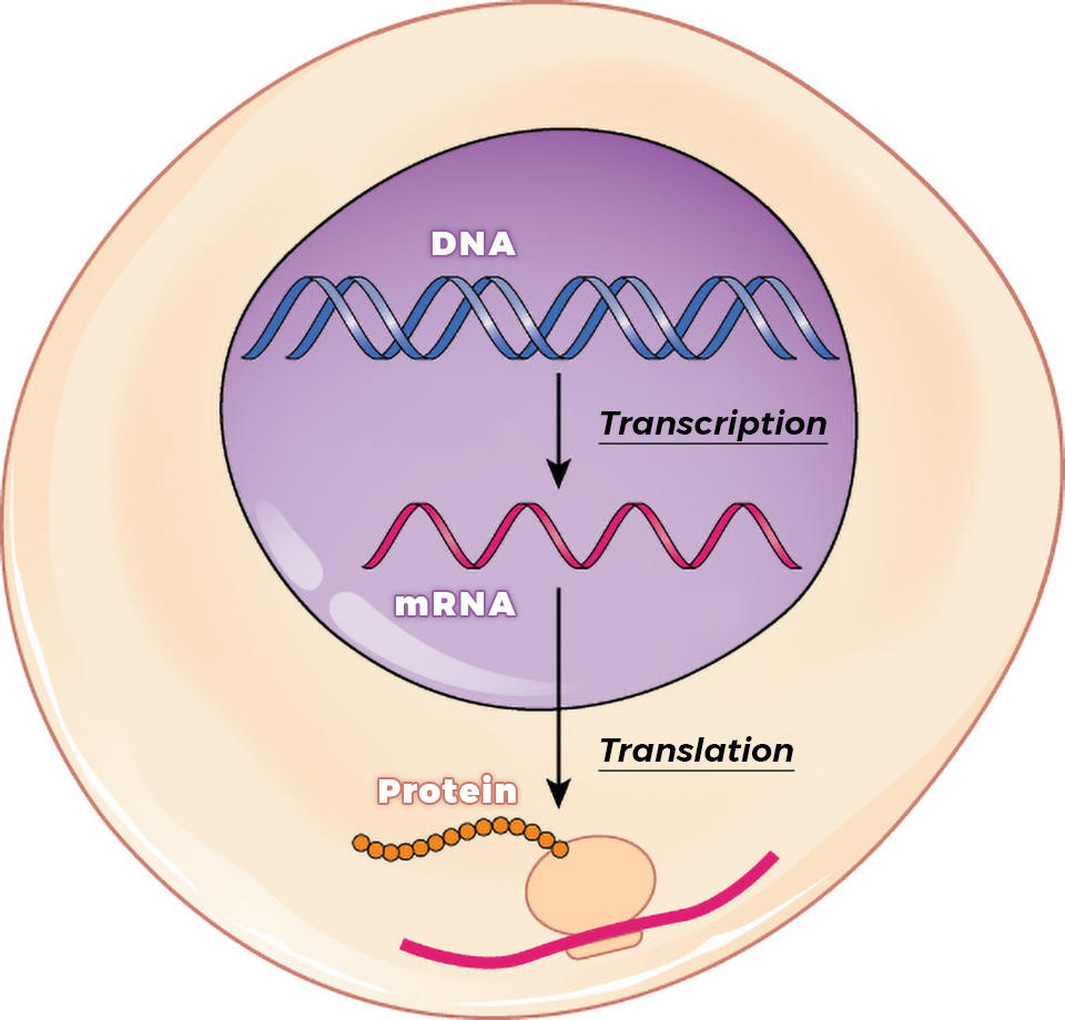 Analyzing Tumor RNA to Improve Cancer Precision Medicine - National Cancer  Institute
