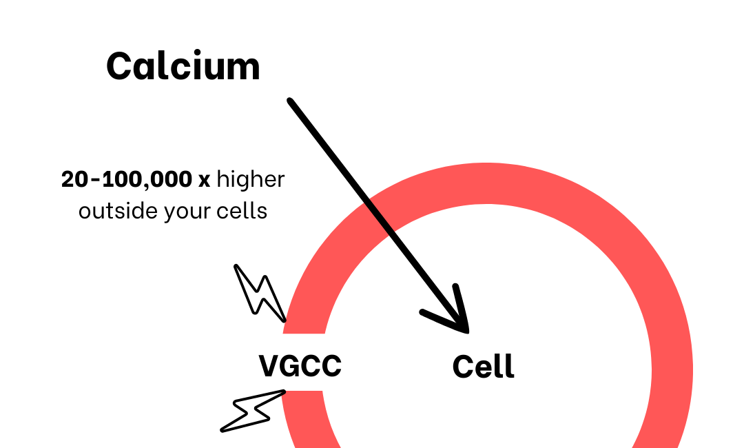 Why Heart Disease is an Electrical Illness