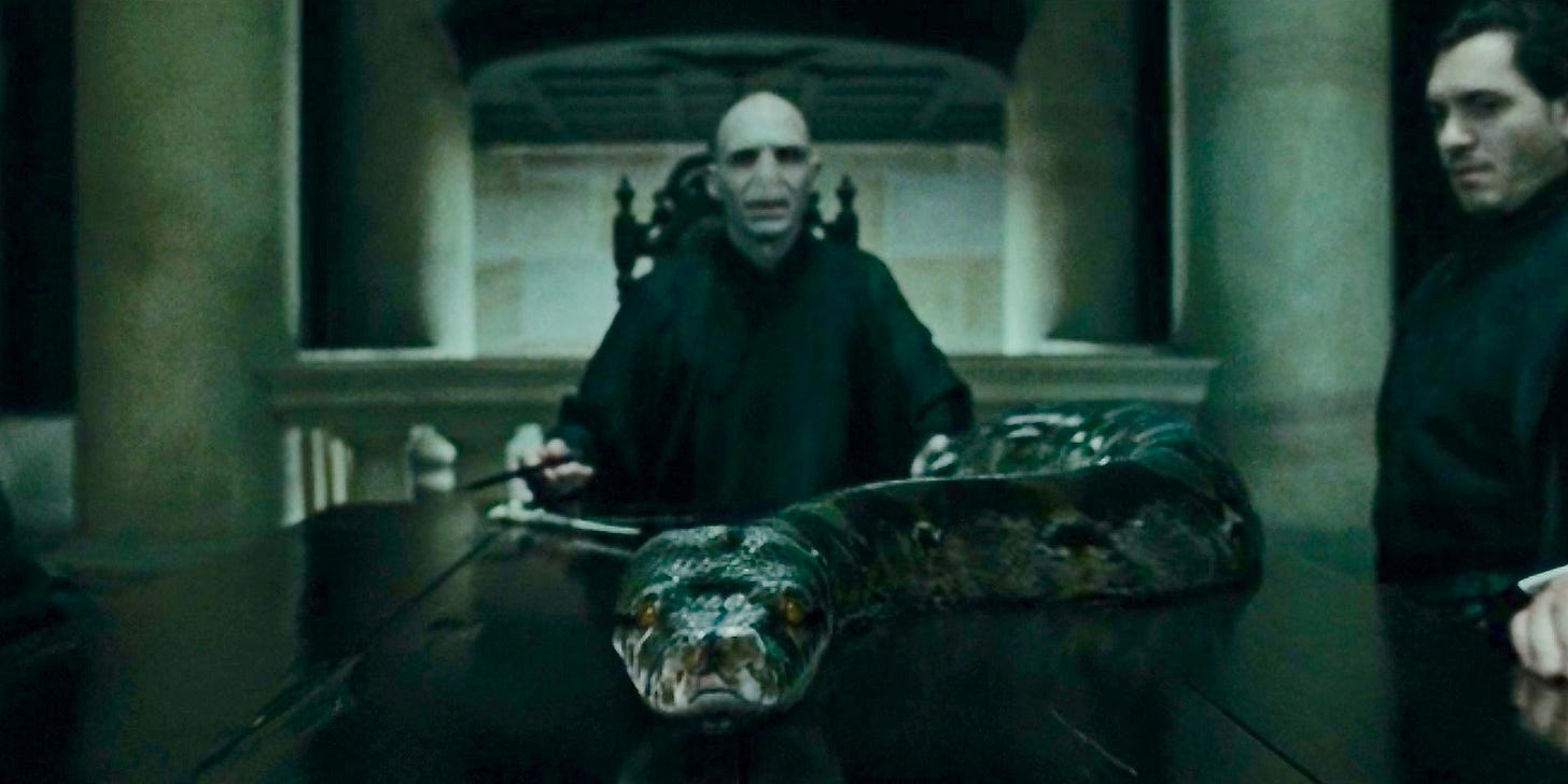 J.K. Rowling left a major clue about Nagini's backstory in 'Harry ...