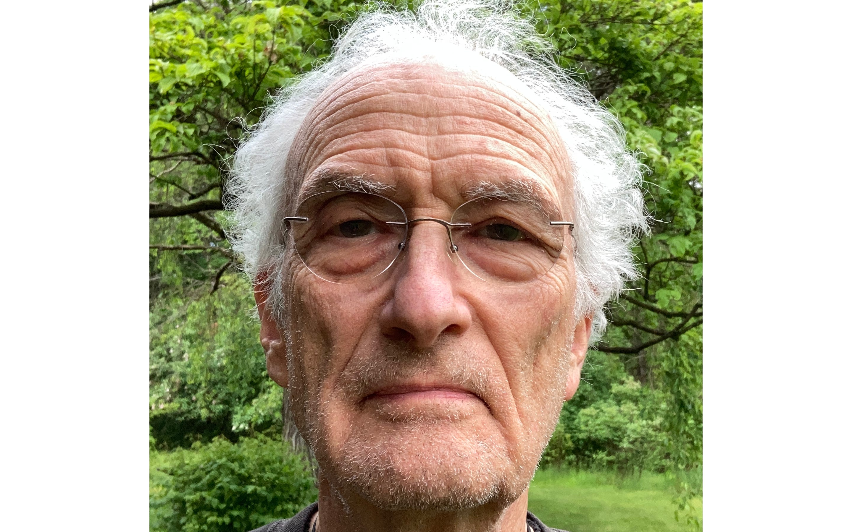 Peter d errico substack