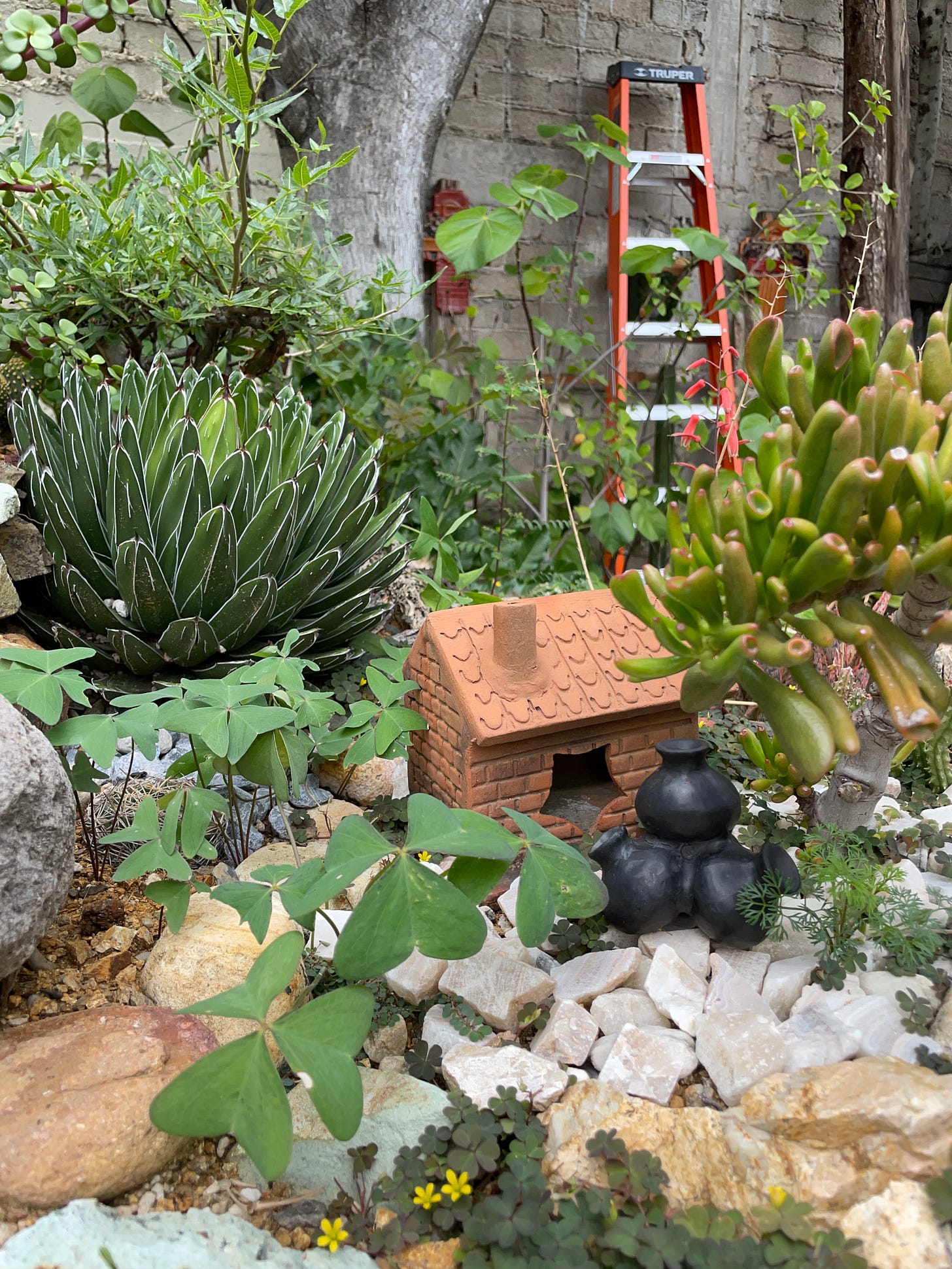 A small red clay house set amongst a variety of succulents and cacti.