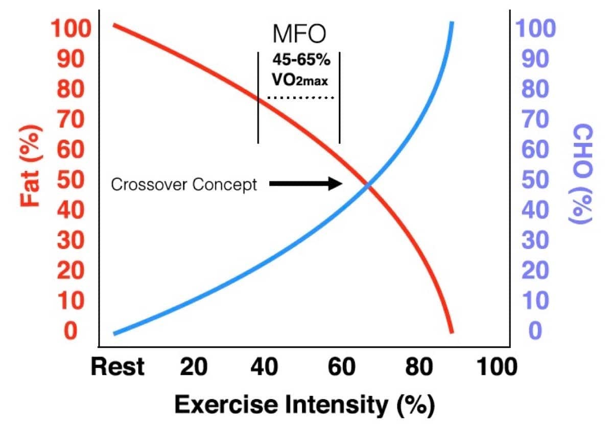 Sugar vs. Fat: The Crossover Concept of Carbohydrate and Fat Utilization  During Exercise - CTS