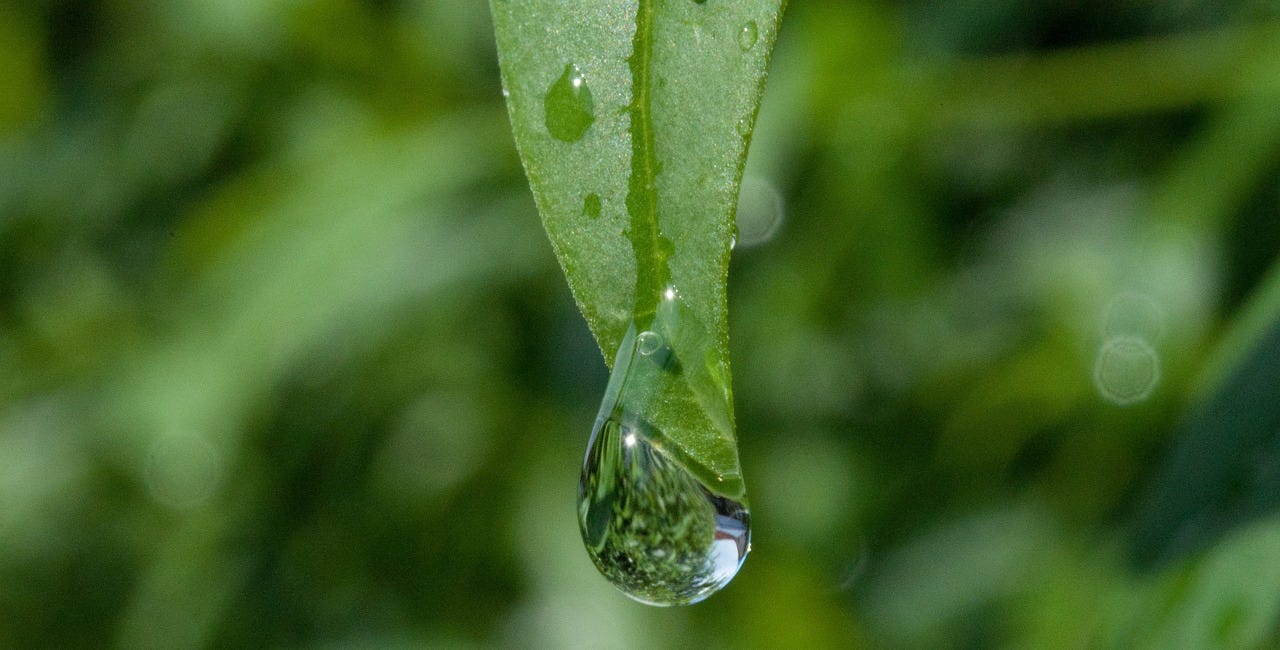 Sacrament of the Present Moment