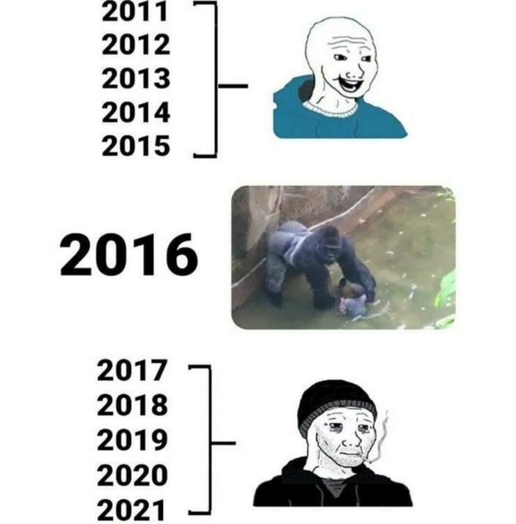 Like Pepe the Frog, Harambe's death became a touchstone for expressions of sadness on the Internet ( https://www.amazon.com/Feels-Good-Man-Matt-Furie/dp/B08FF9P9LP )