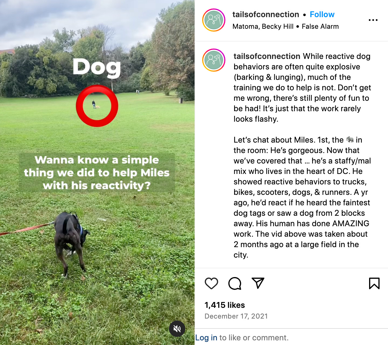 screenshot of reactive dog sniffing reel