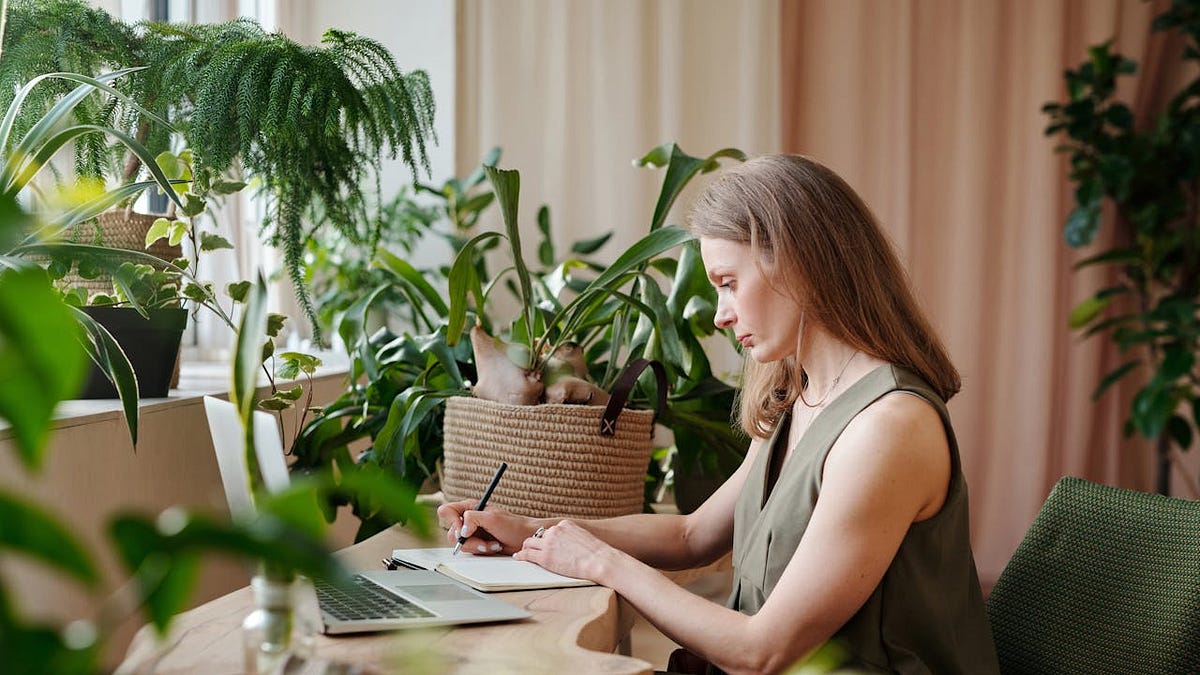 This Is Not a Brand. It’s a Room.