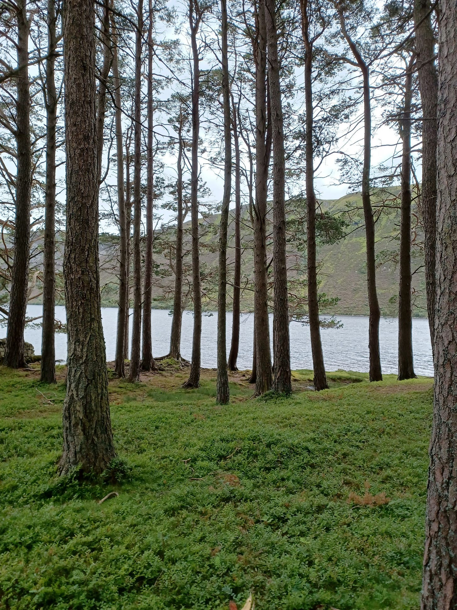 Living in Aberdeen Part 6