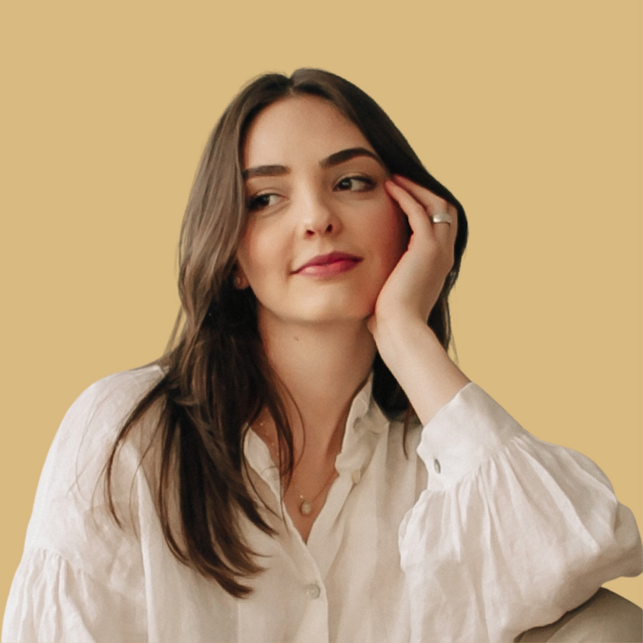 Boletim Têxtil logo