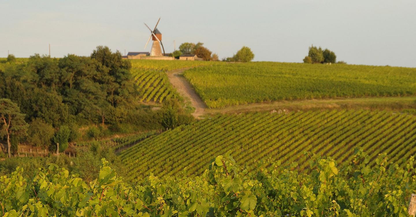 GR de Pays Coteaux du Layon et de la Loire | Parc Naturel Régional  Loire-Anjou-Touraine