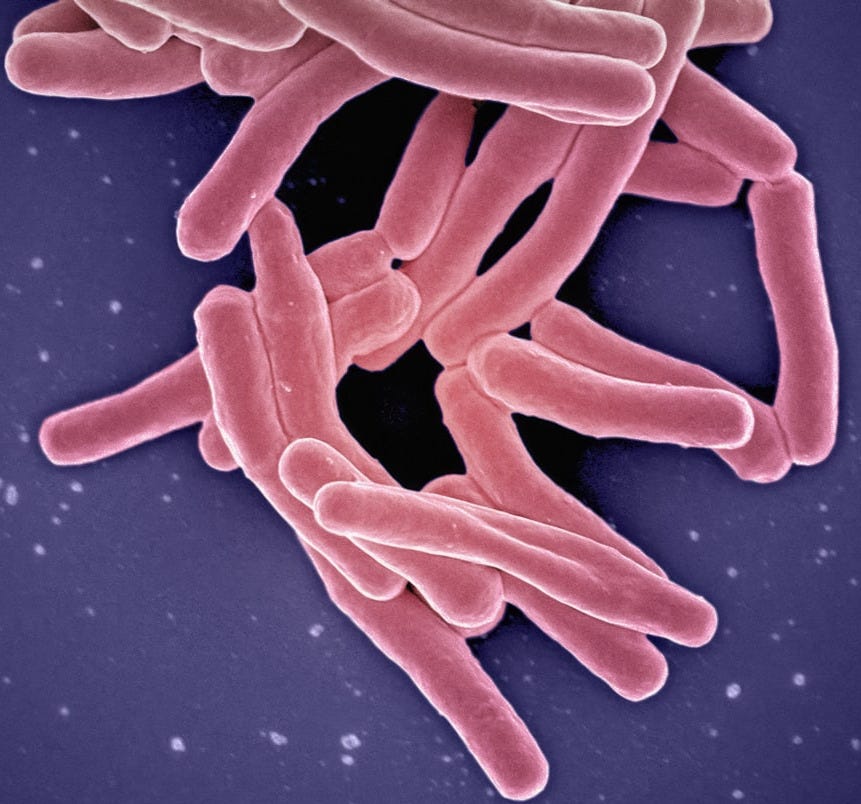 a close up of a blood cell with blood cells