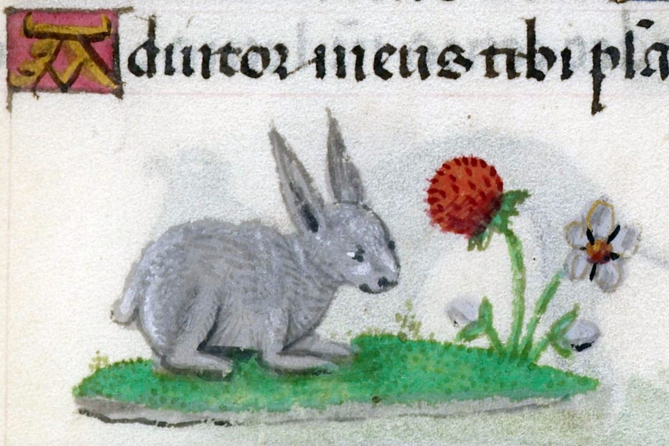 12 Medieval Rabbits to Help You Celebrate Spring