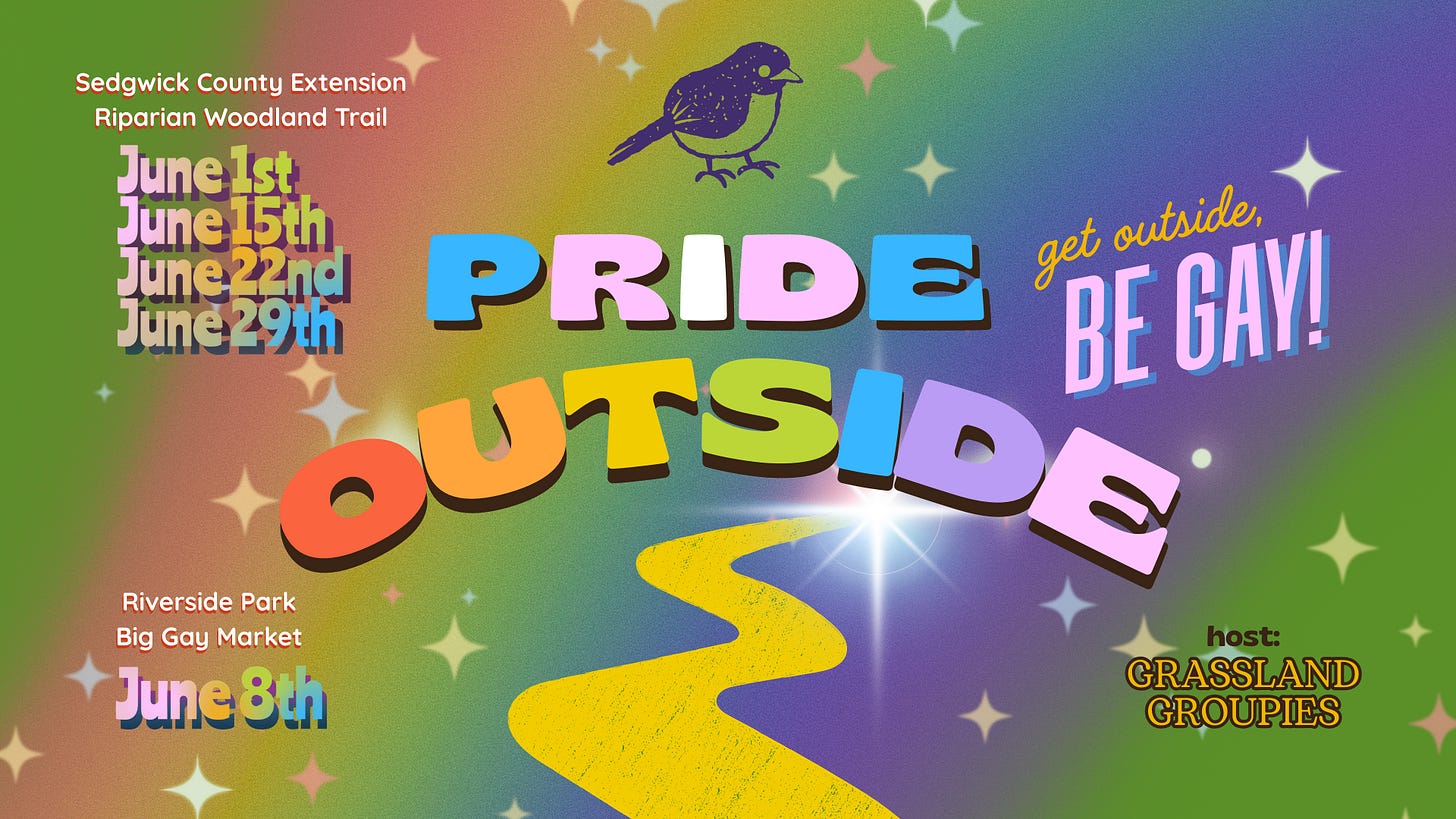 A beautifully hideous banner for Pride Outside summarizing the event info below with big “graphic design is my passion” energy.