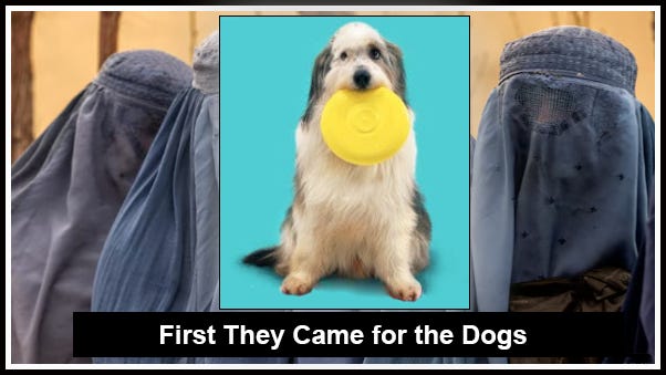 Congressman Randy Fine Chooses Dogs Over Sharia: Why the Backlash Proves Politicians Fear Islam More Than They Oppose It