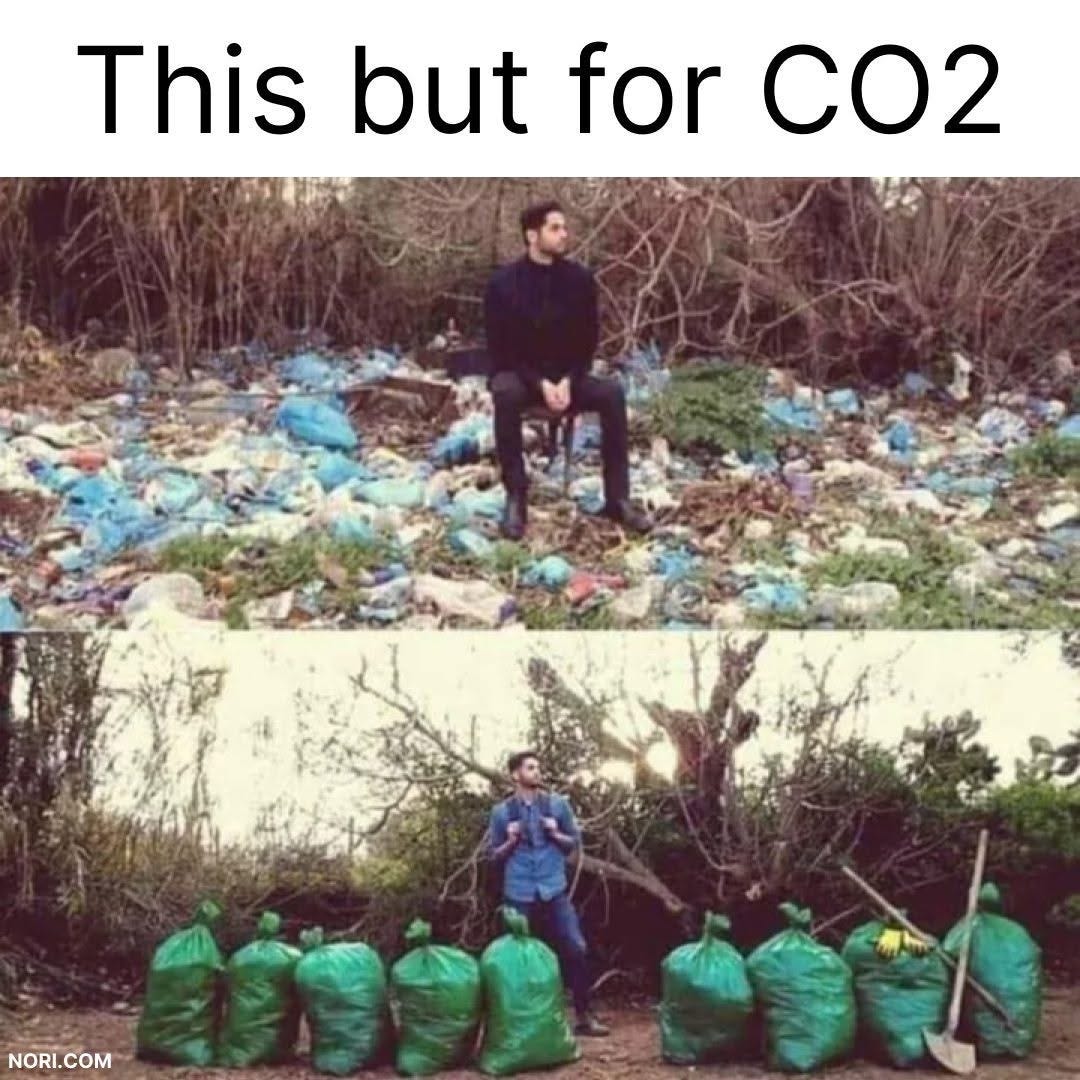 Before and after photos of a man sitting in a field covered in litter, then standing beside a row of full green trash bags. Heading: "This but for CO2".