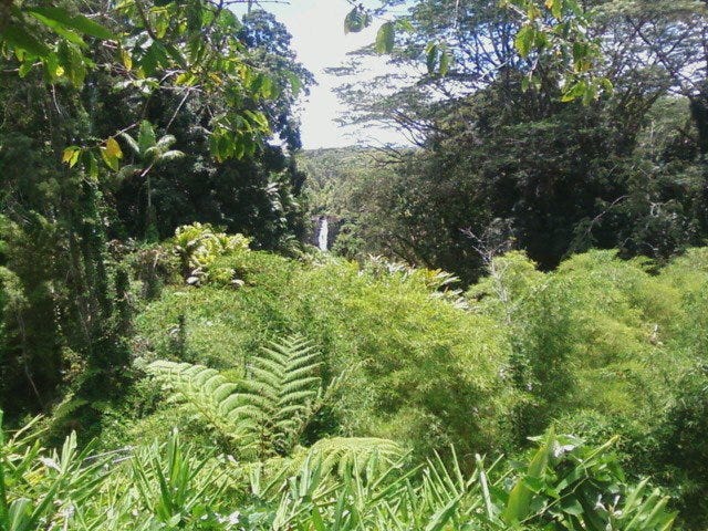 The Big Island of Hawai'i | Broke Girl Abroad