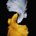 Let's take a breath on the page