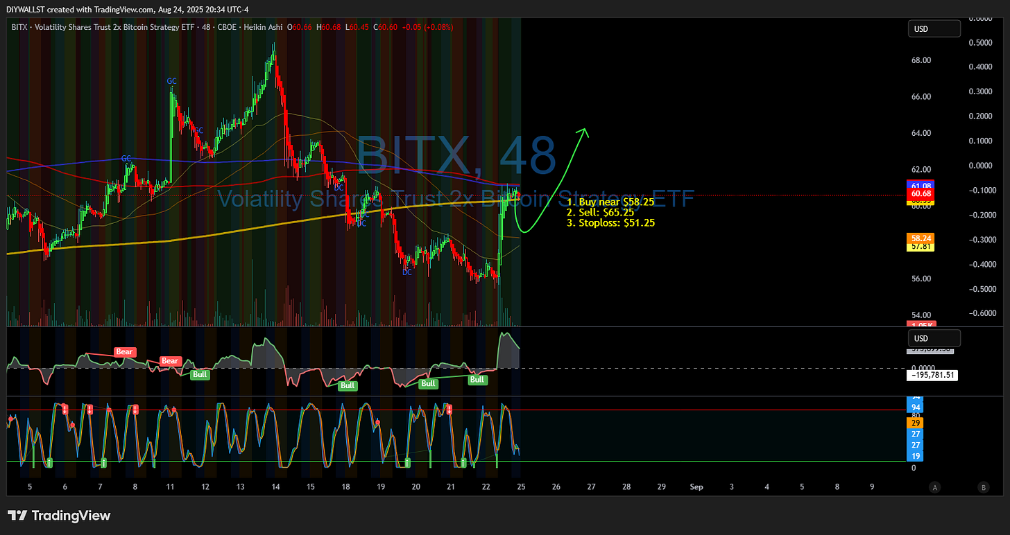 BATS:BITX Chart Image by DiYWALLST