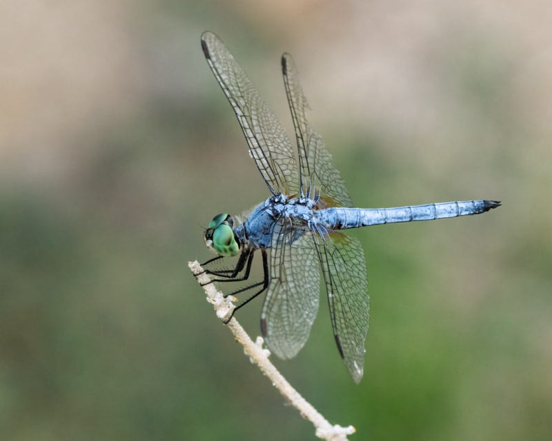 20260828-ElRio-348-Edit.jpg