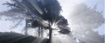 Image result for Earthbound spirits