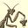 Sophia Eudaimonia's avatar