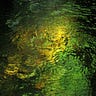 In the Beautiful Middles of Nowhere: Roselle’s Substack 1