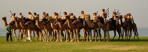 Royal camel police