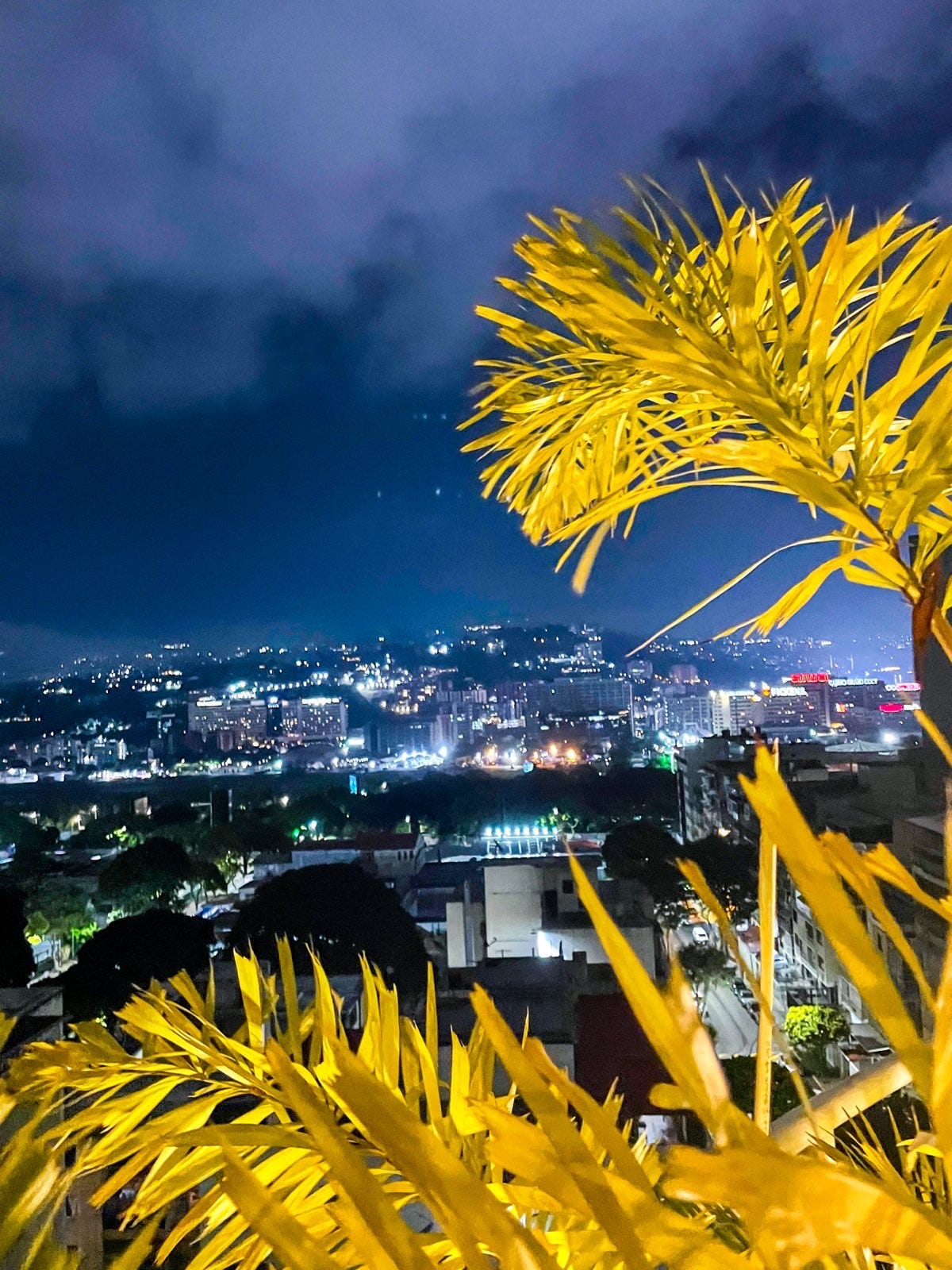 A yellow plant with a city in the background

AI-generated content may be incorrect.