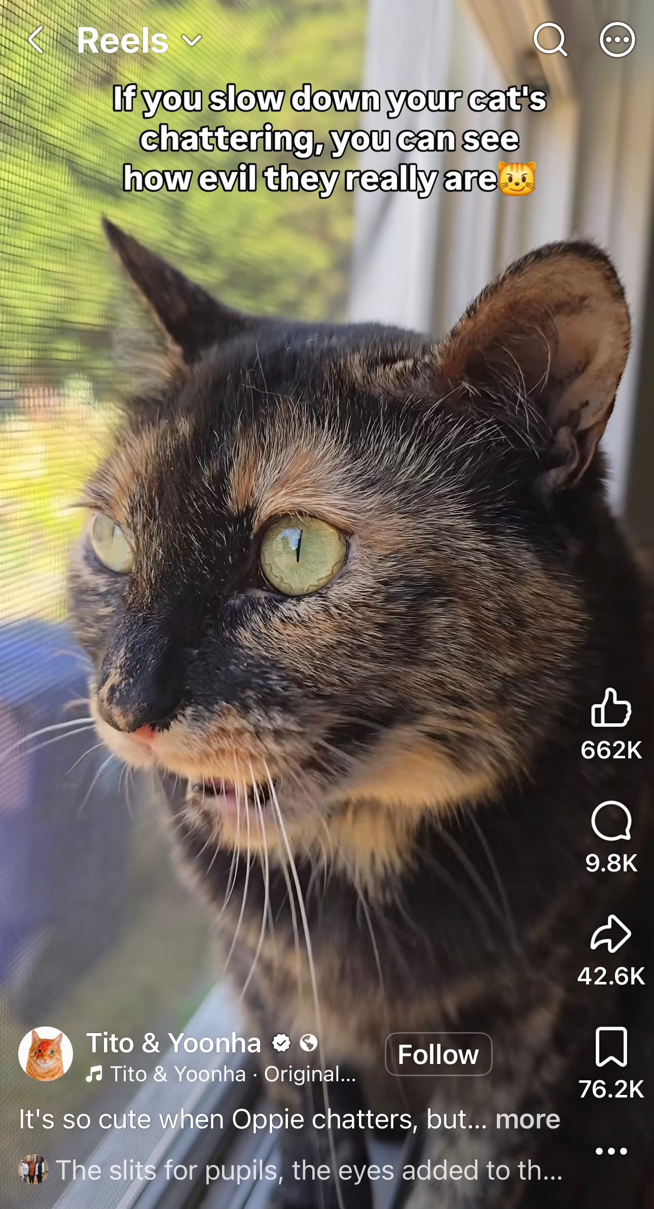 Image.heic