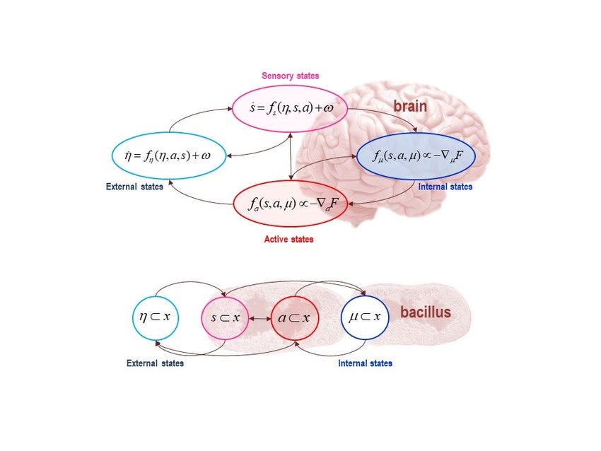 Cosmic Bayesian Inference - by Tomer Solomon