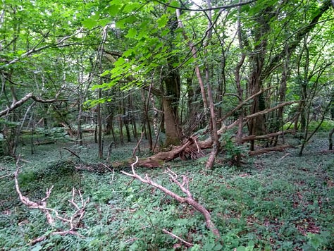 From Murder Between the Tides: