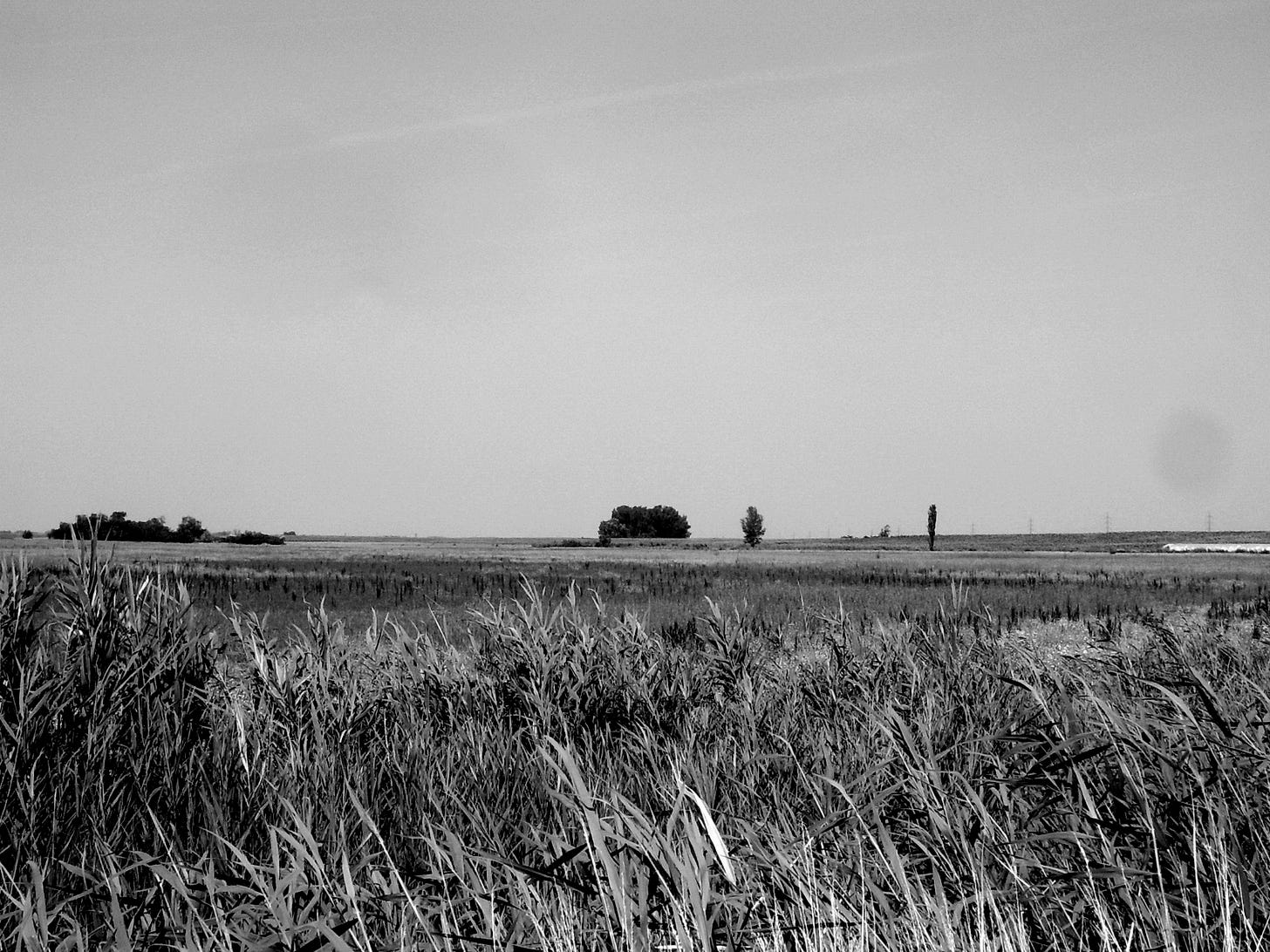 File:Nagytőke nyári pusztaBlack and white.JPG - Wikimedia Commons