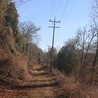 out where the leaves decay