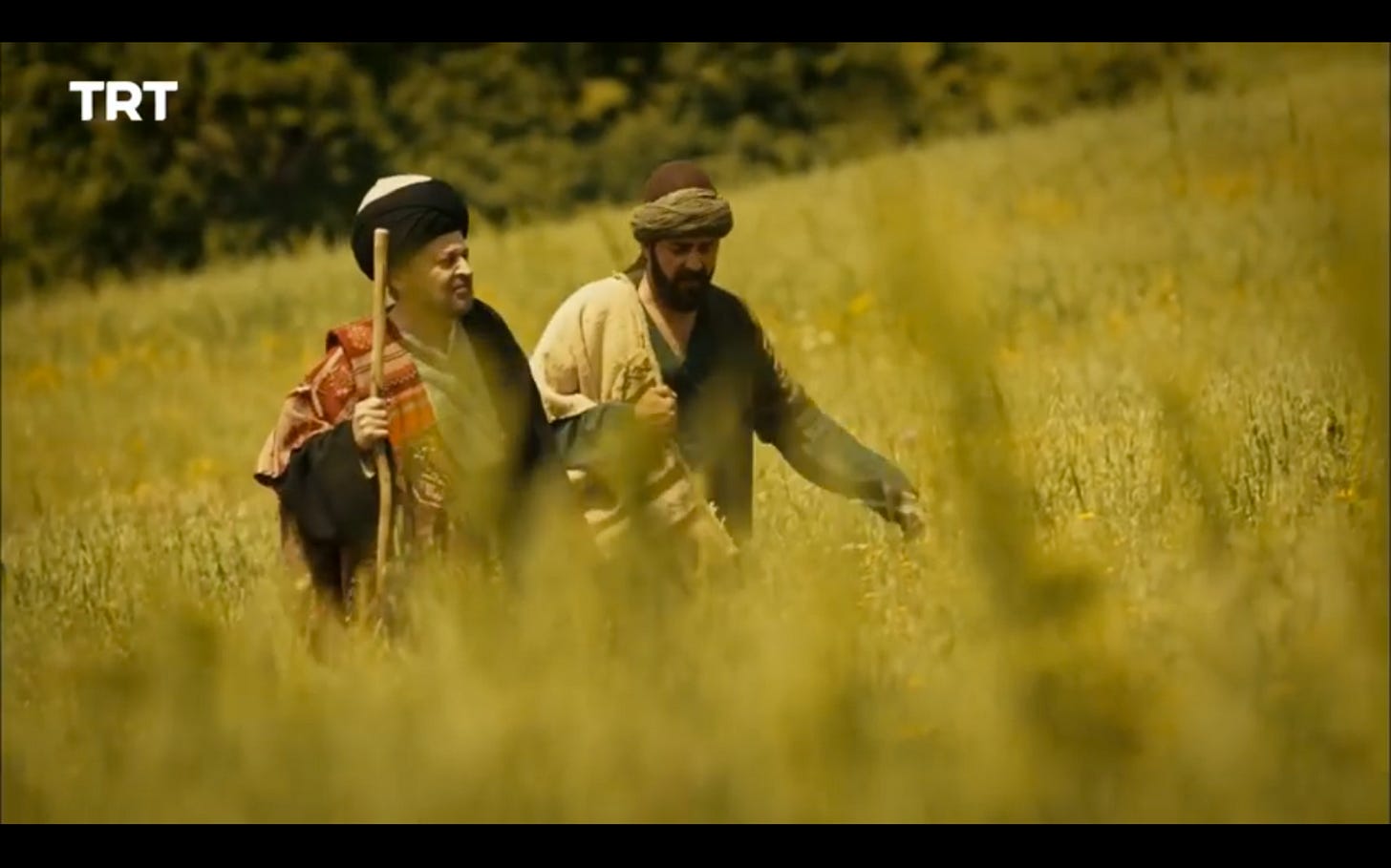 an older man with a staff walks next to a younger one through a field of tall grass, both carrying woolen saddlebags