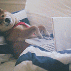 Travailler depuis chez soi - Le nouveau bureau đ» đ â