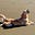 Shona's avatar