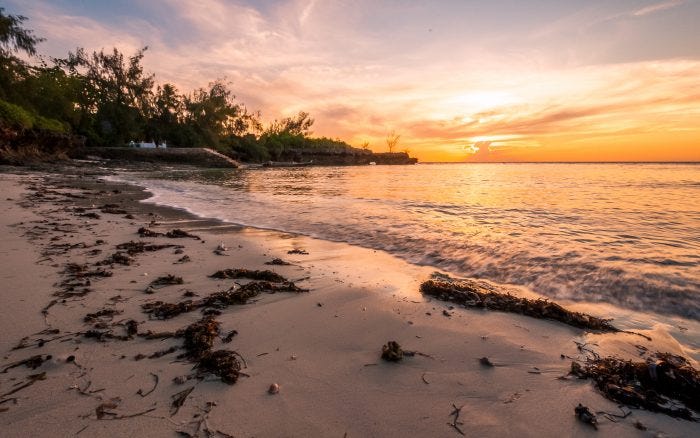 Chumbe Island - Chumbe Island Coral Park