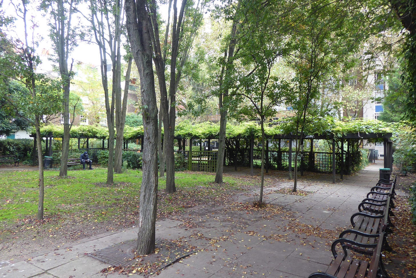 View of trees and pergola at Crabtree Fields public park.